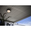 Настенно-потолочный светильник Oasis-Light WiZ W3351 WiZ